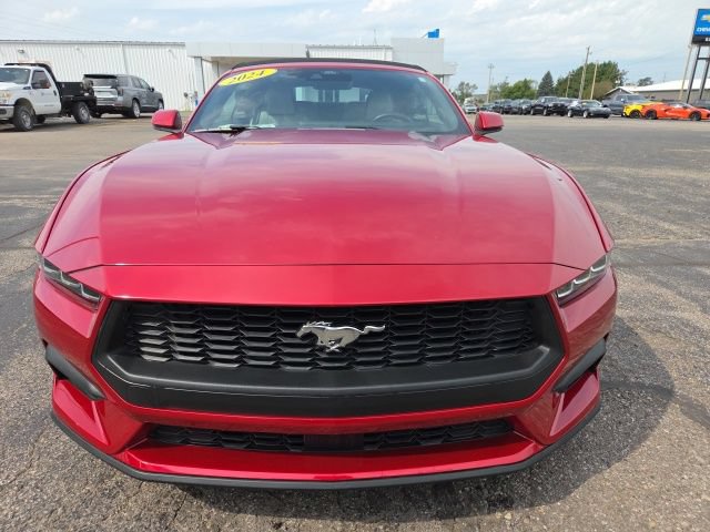Certified 2024 Ford Mustang Premium RWD image 13