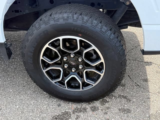Certified 2023 Ford F150 XL w/ STX Appearance Package AWD/4WD image 5