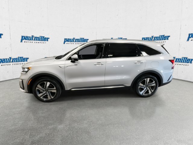 Used 2024 Kia Sorento EX w/ Panoramic Sunroof Package AWD/4WD image 6