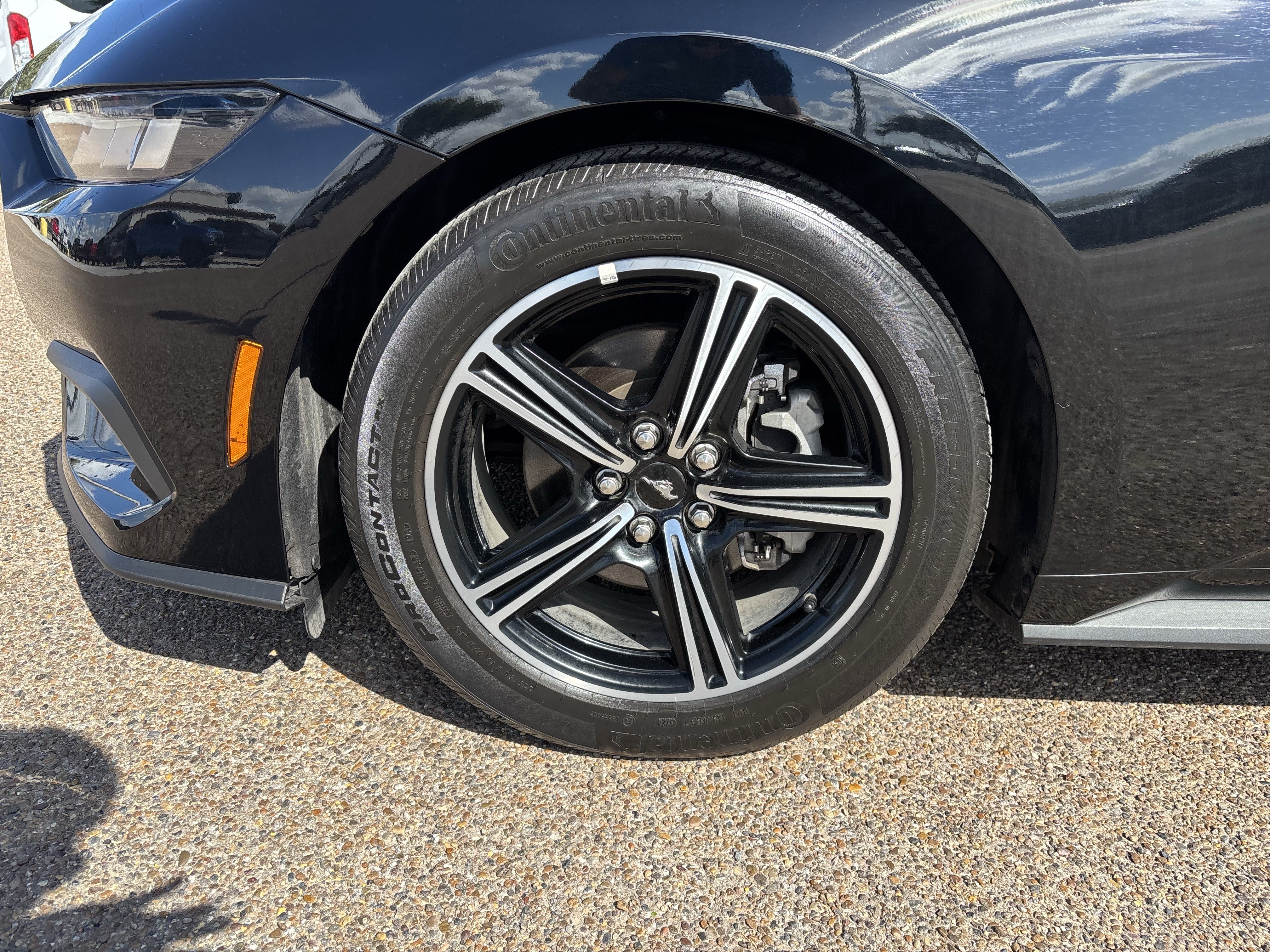Certified 2025 Ford Mustang Coupe RWD image 8