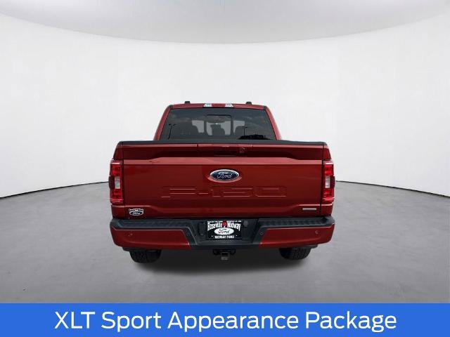 Certified 2023 Ford F150 XLT w/ Equipment Group 302A High AWD/4WD image 8