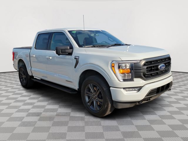 Certified 2023 Ford F150 XLT w/ Equipment Group 302A High AWD/4WD image 7