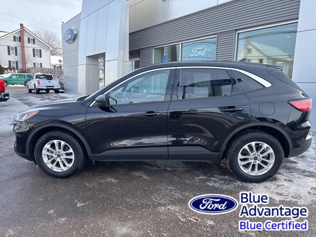 Certified 2022 Ford Escape SE w/ Convenience Package image 9