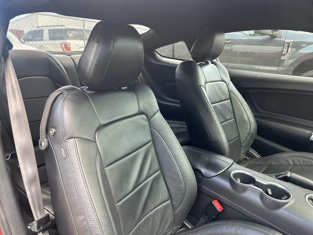 Certified 2019 Ford Mustang Coupe RWD image 14