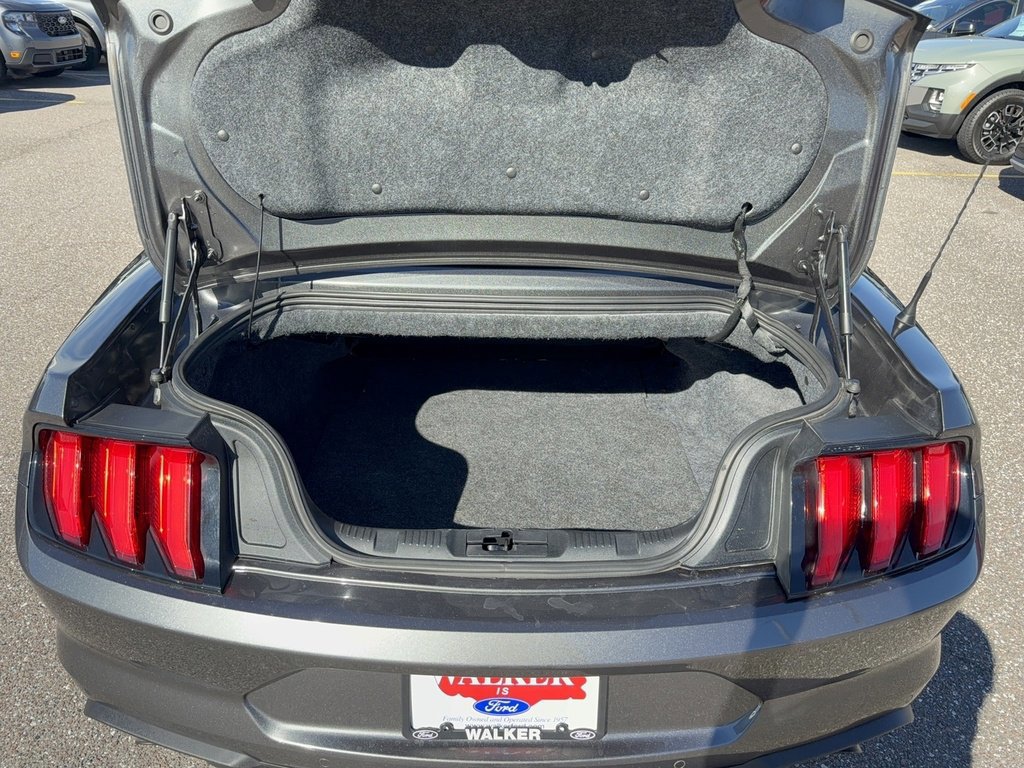 Certified 2020 Ford Mustang Premium w/ Equipment Group 201A image 8