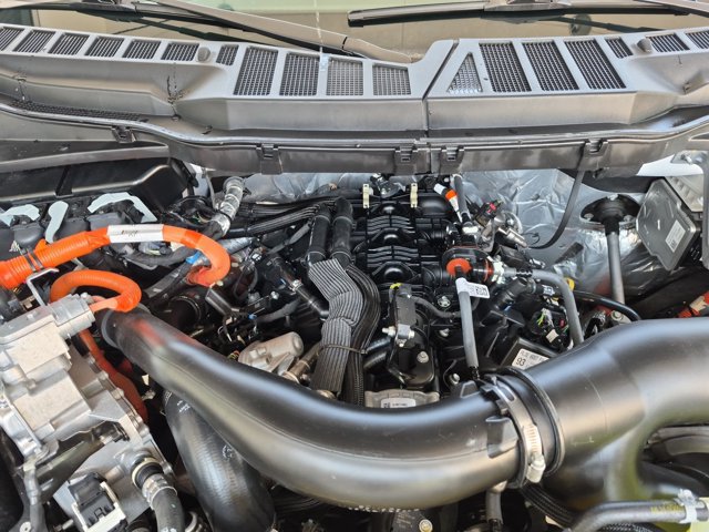 Certified 2025 Ford F150 XLT w/ Equipment Group 303A High AWD/4WD image 38