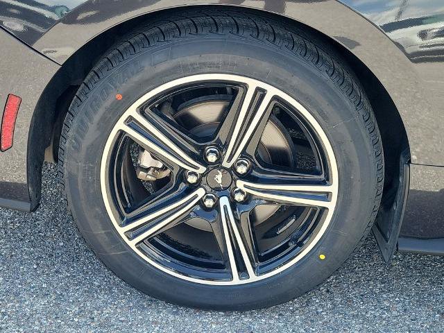 Certified 2024 Ford Mustang Premium RWD image 6