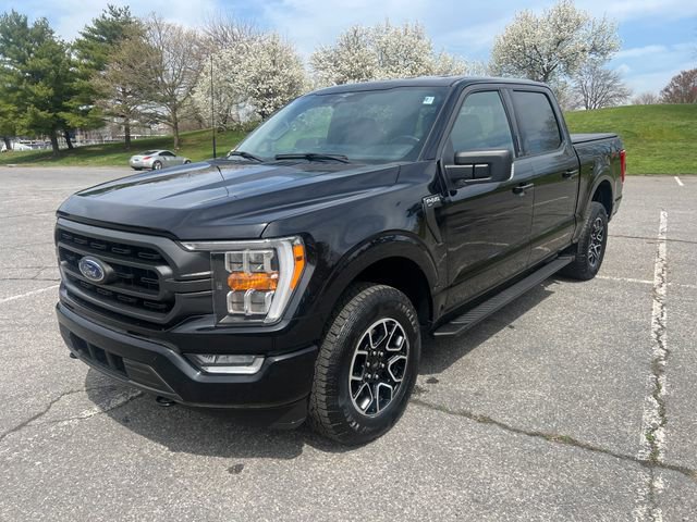 Certified 2023 Ford F150 XLT w/ Equipment Group 302A High AWD/4WD image 2