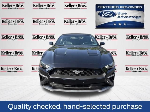Certified 2019 Ford Mustang Premium RWD image 2