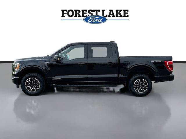 Certified 2023 Ford F150 XLT w/ Equipment Group 302A High AWD/4WD image 4