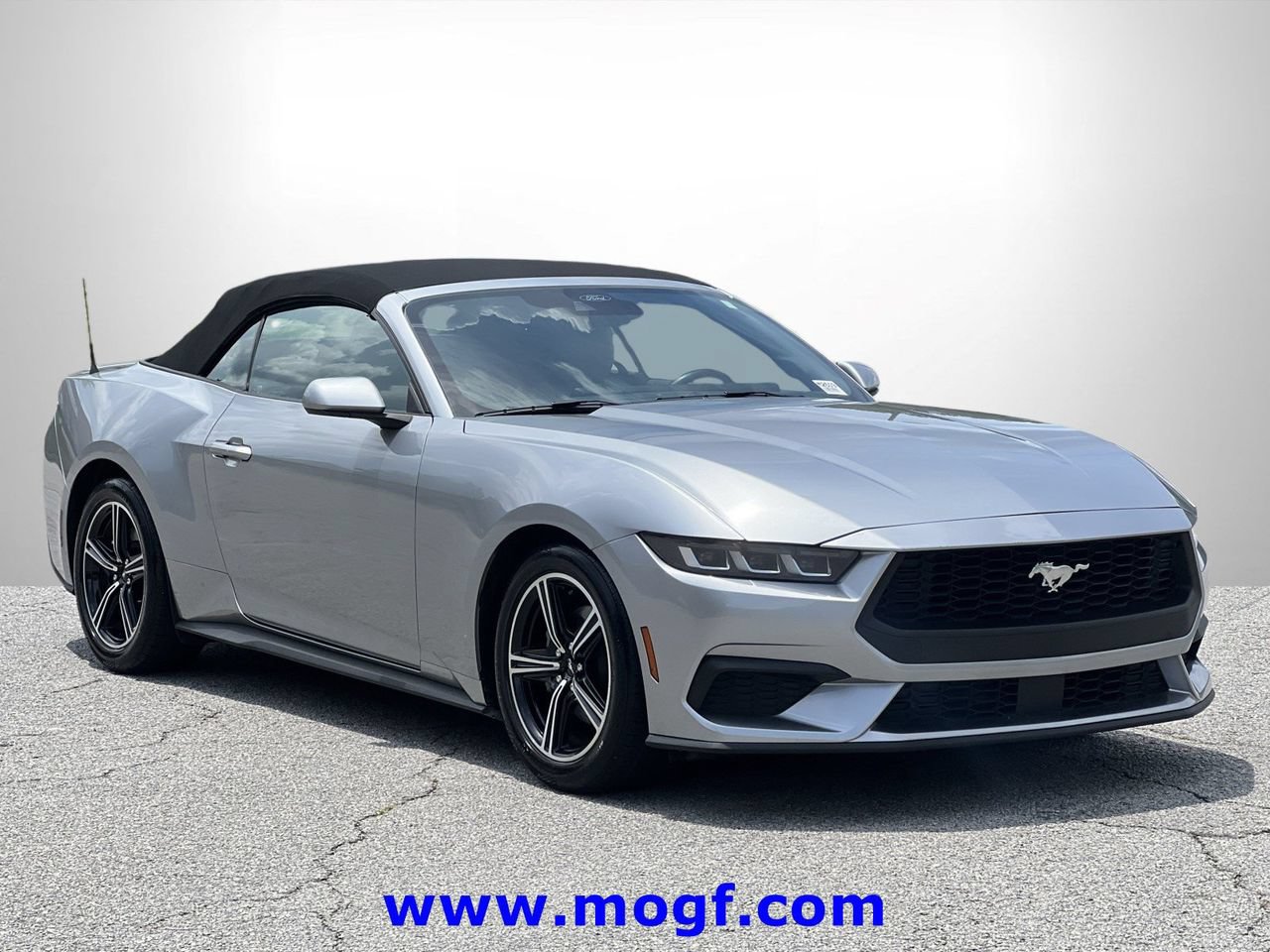 Certified 2024 Ford Mustang Premium RWD image 4