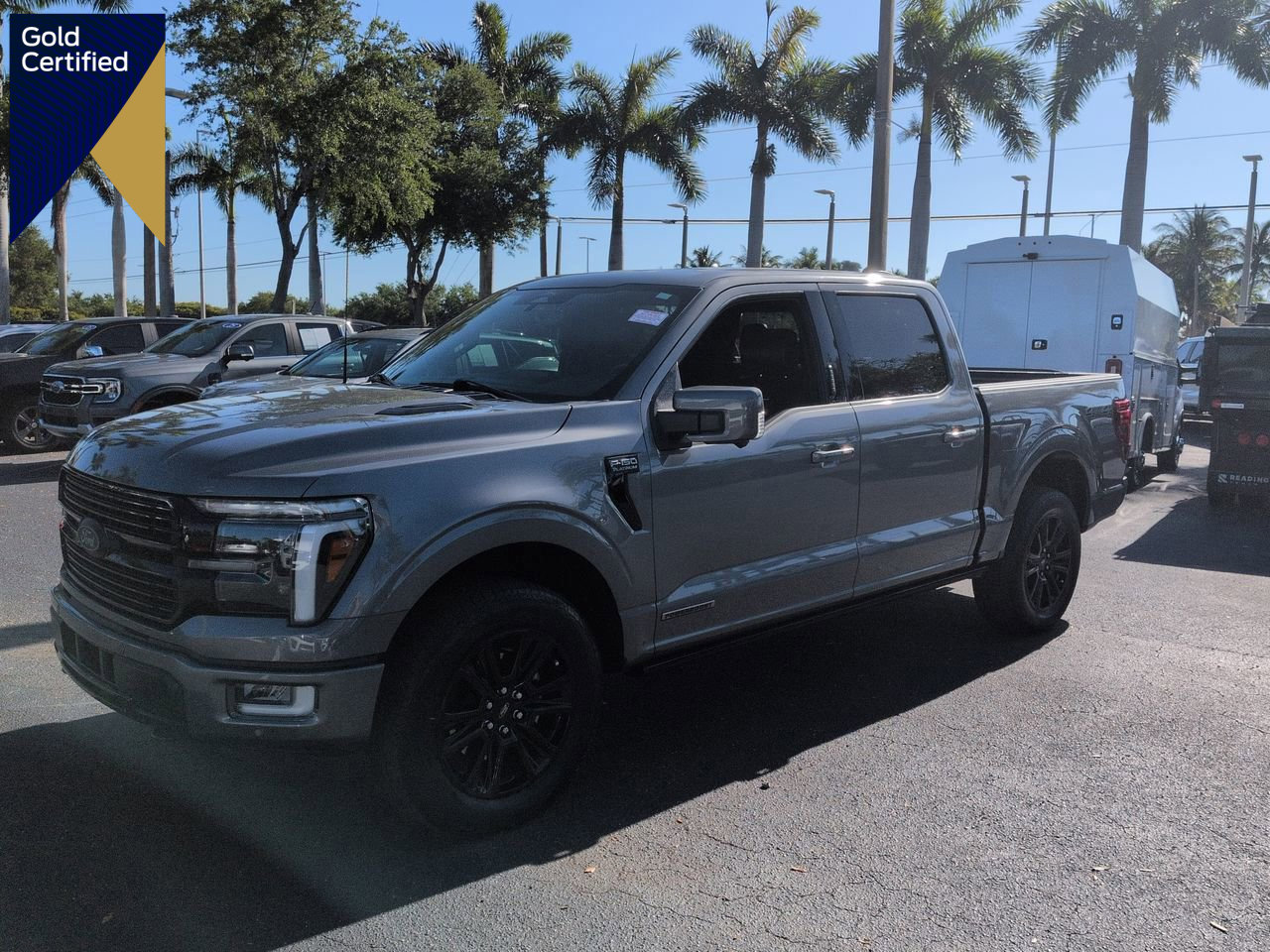 Certified 2024 Ford F150 Platinum