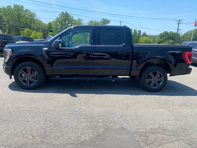 Certified 2023 Ford F150 XLT w/ Equipment Group 302A High AWD/4WD image 4