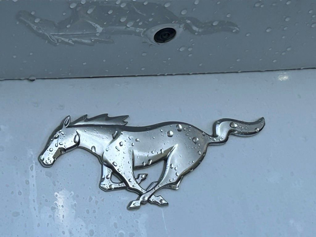 Certified 2024 Ford Mustang Premium RWD image 21