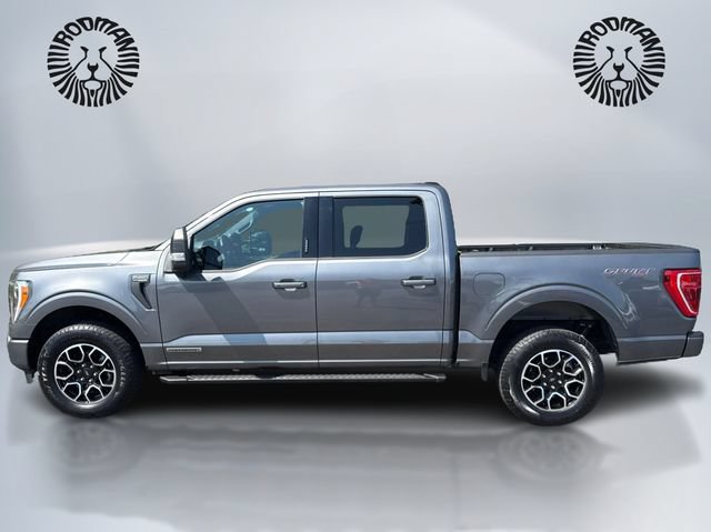Certified 2023 Ford F150 XLT w/ Equipment Group 302A High AWD/4WD image 11