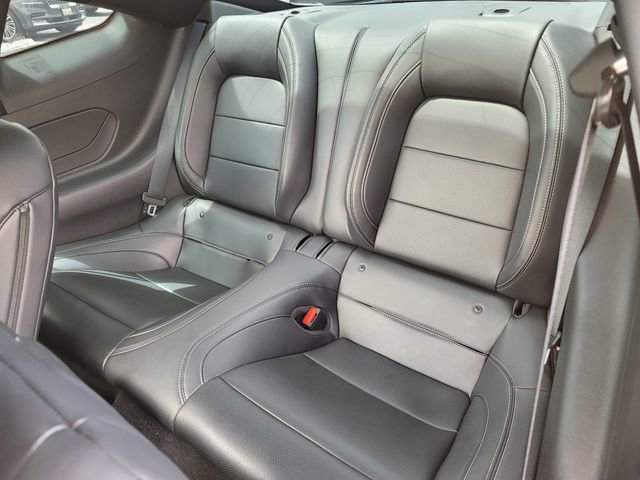 Certified 2025 Ford Mustang GT Premium w/ Mustang Nite Pony Package RWD image 17