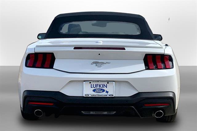 Certified 2024 Ford Mustang Premium RWD image 3