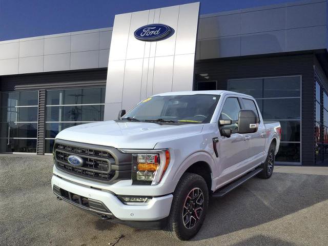 Certified 2022 Ford F150 XLT w/ Equipment Group 302A High image 4