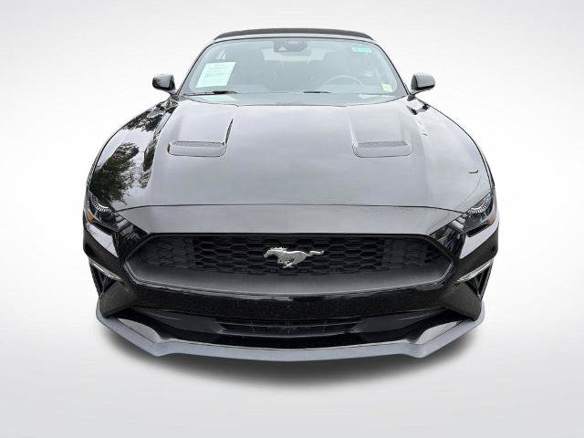 Certified 2023 Ford Mustang Premium RWD image 3