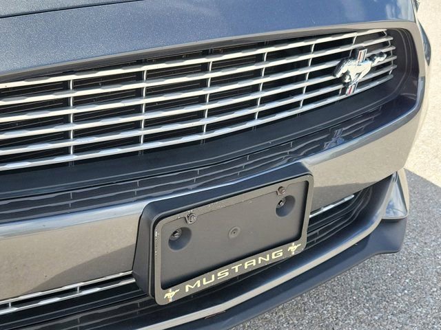 Certified 2017 Ford Mustang Premium w/ Equipment Group 201A image 7