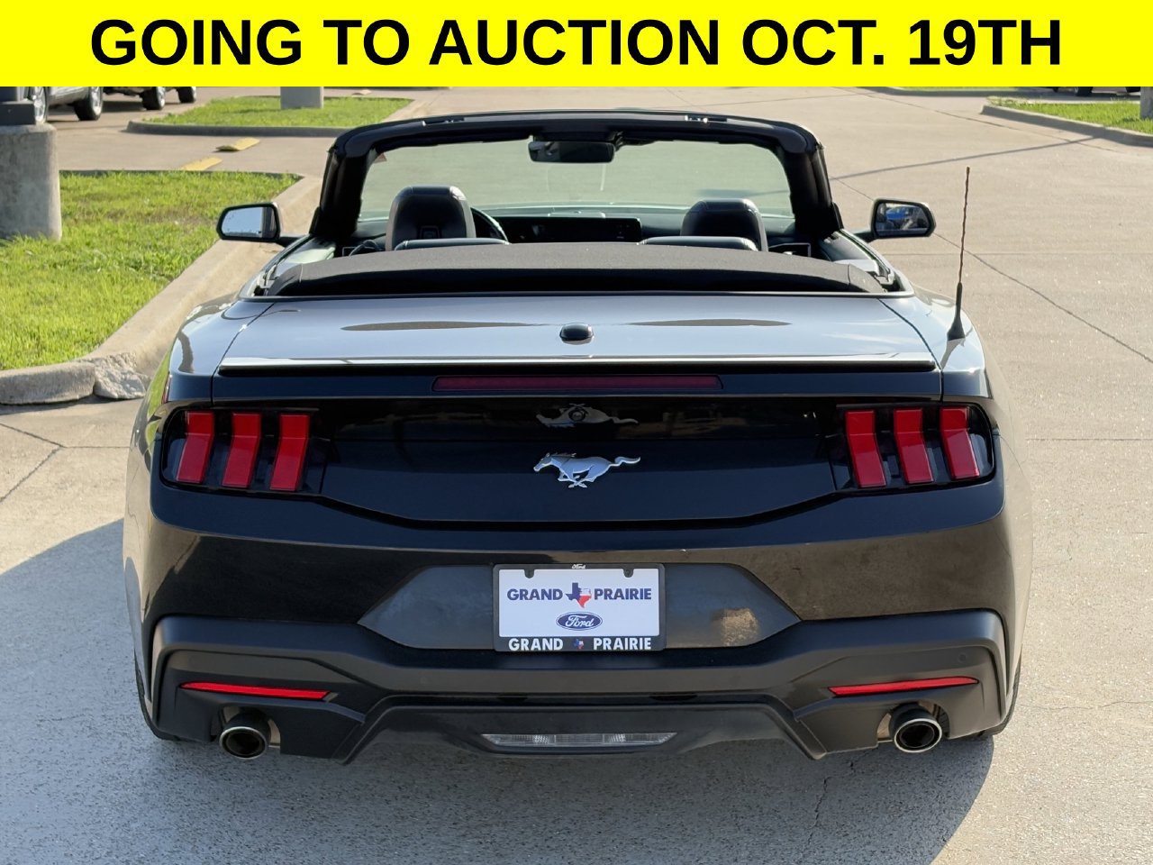 Certified 2024 Ford Mustang Premium RWD image 5