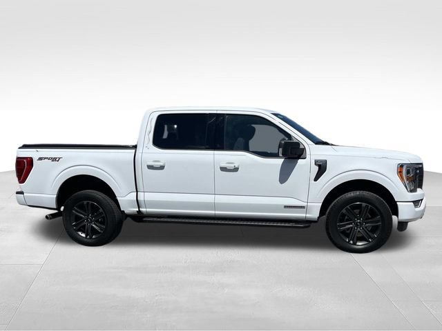 Certified 2023 Ford F150 XLT w/ Equipment Group 302A High AWD/4WD image 2