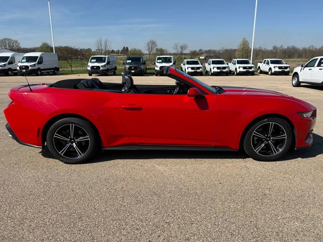 Certified 2019 Ford Mustang Premium w/ Equipment Group 201A RWD image 8