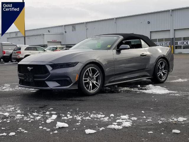 Certified 2025 Ford Mustang Premium w/ Wheel & Stripe Package image 1