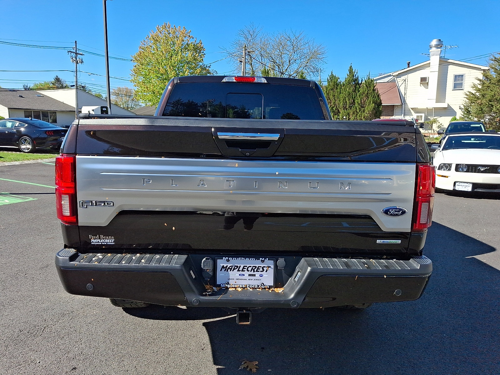 Certified 2019 Ford F150 Platinum AWD/4WD image 6