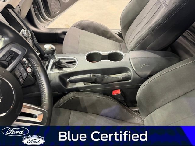 Certified 2022 Ford Mustang GT w/ Equipment Group 301A RWD image 15