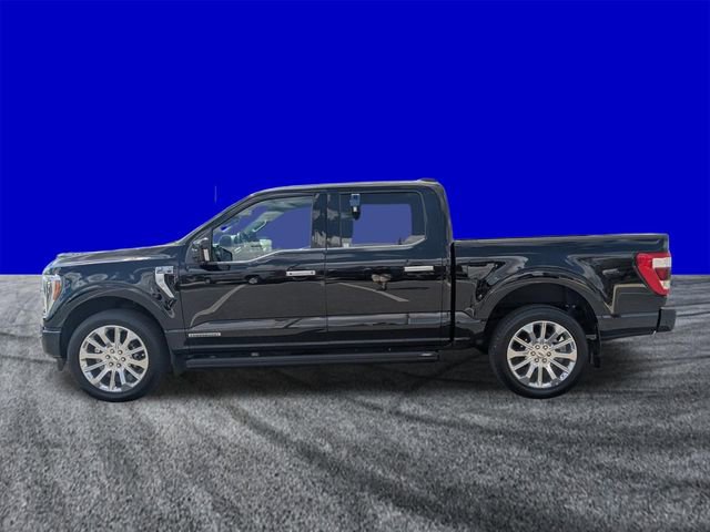 Certified 2023 Ford F150 Limited image 6
