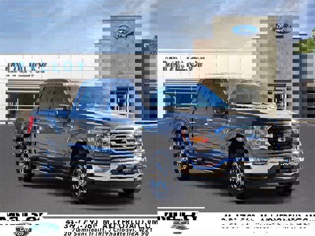 Certified 2022 Ford F150 XLT w/ Equipment Group 302A High image 6