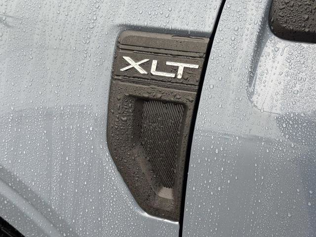 Certified 2025 Ford Maverick XLT w/ XLT Luxury Package image 13