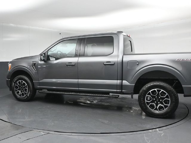 Certified 2023 Ford F150 XLT w/ Equipment Group 302A High AWD/4WD image 5