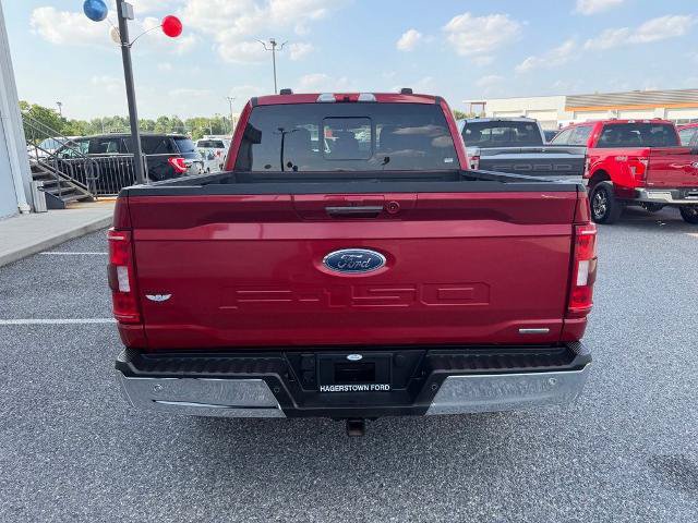 Certified 2022 Ford F150 XLT w/ Equipment Group 302A High AWD/4WD image 7