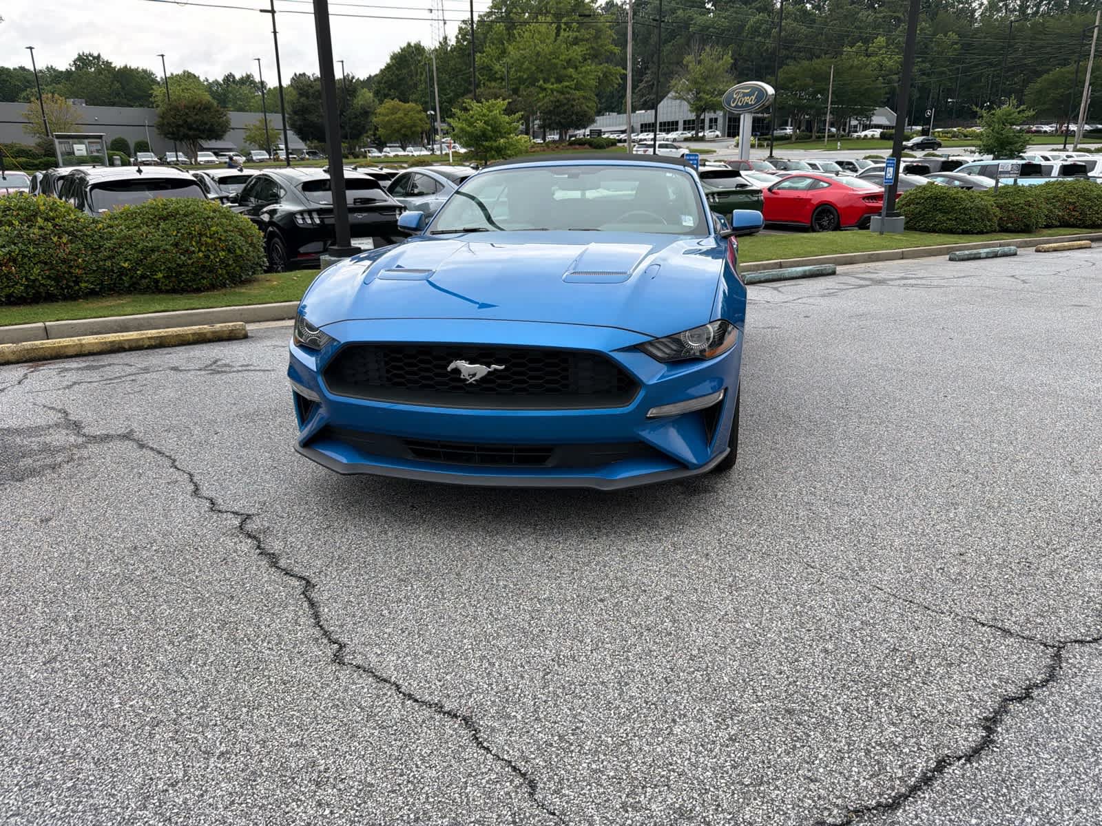 Certified 2019 Ford Mustang Convertible w/ Equipment Group 101A