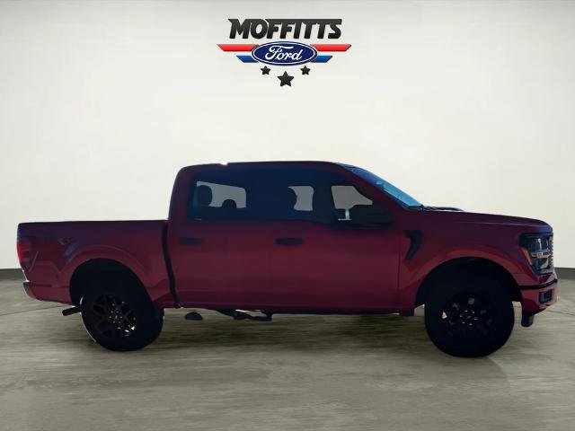 Certified 2024 Ford F150 STX w/ STX Black Appearance Package AWD/4WD image 6