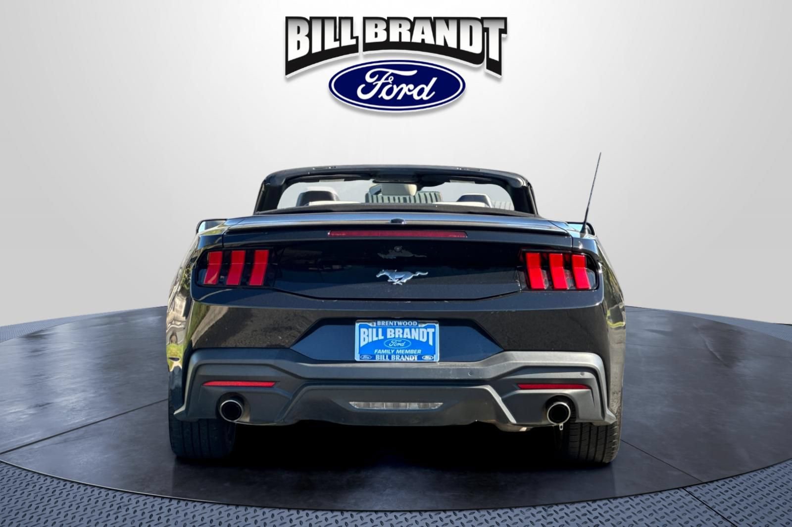 Certified 2024 Ford Mustang Premium RWD image 5