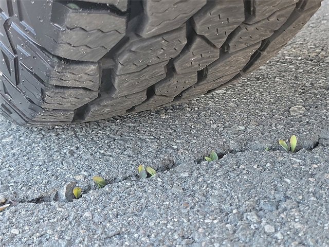 Used 2022 Nissan Pathfinder SL w/ SL Black Package image 33