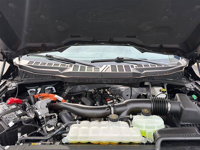 Certified 2025 Ford F150 XLT w/ Equipment Group 301A Standard AWD/4WD image 10