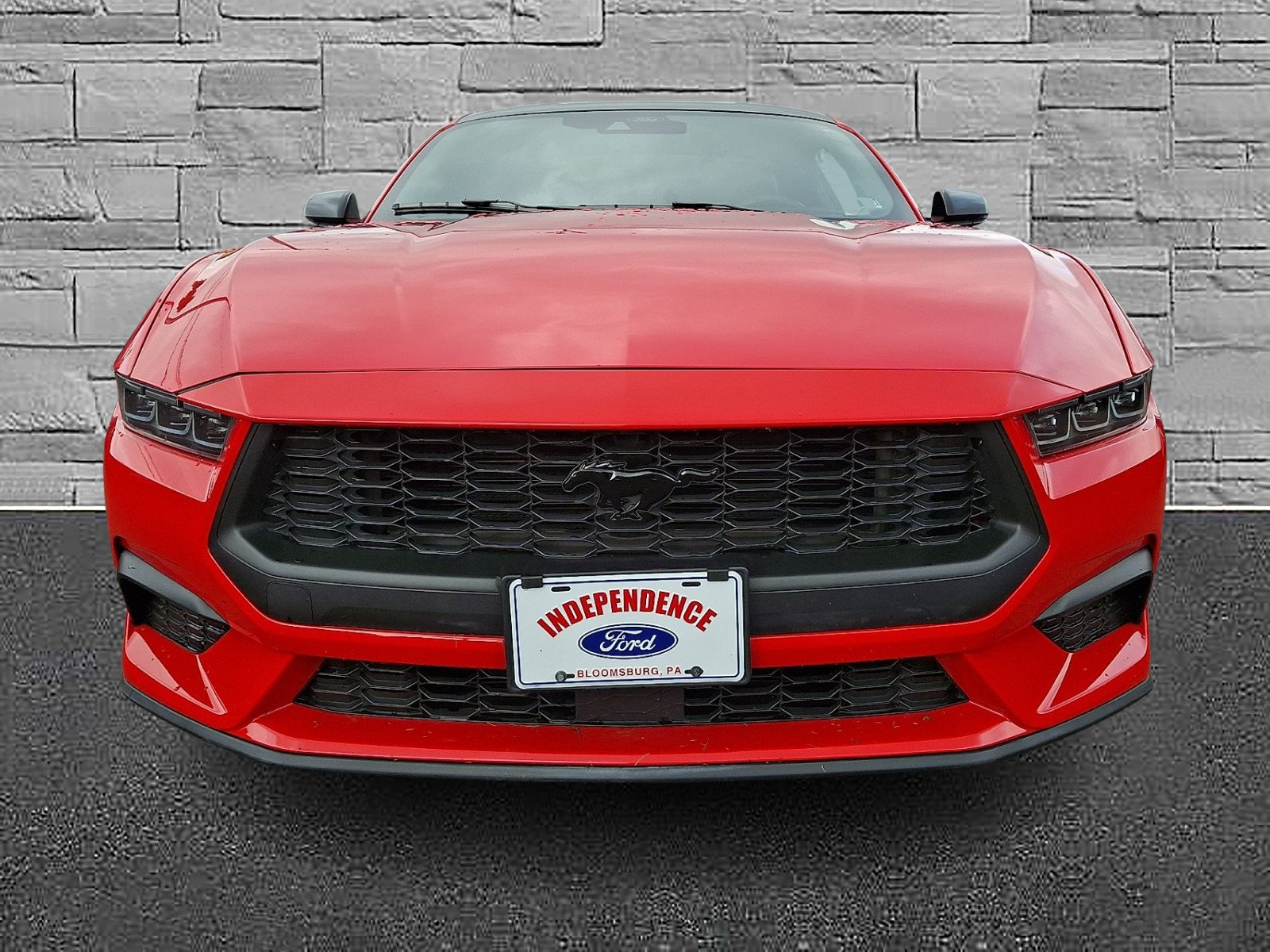 Certified 2024 Ford Mustang Premium RWD image 3