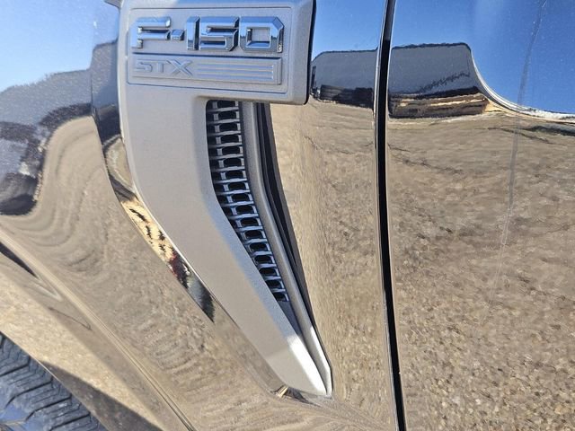 Certified 2025 Ford F150 STX w/ STX Black Appearance Package image 6