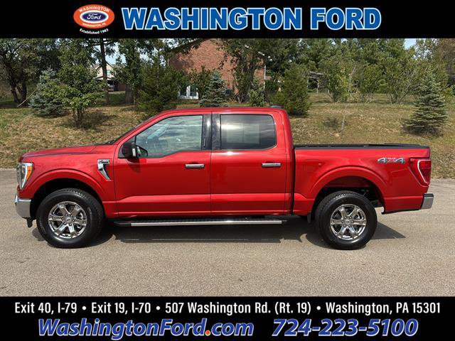 Certified 2023 Ford F150 XLT w/ Equipment Group 302A High image 3