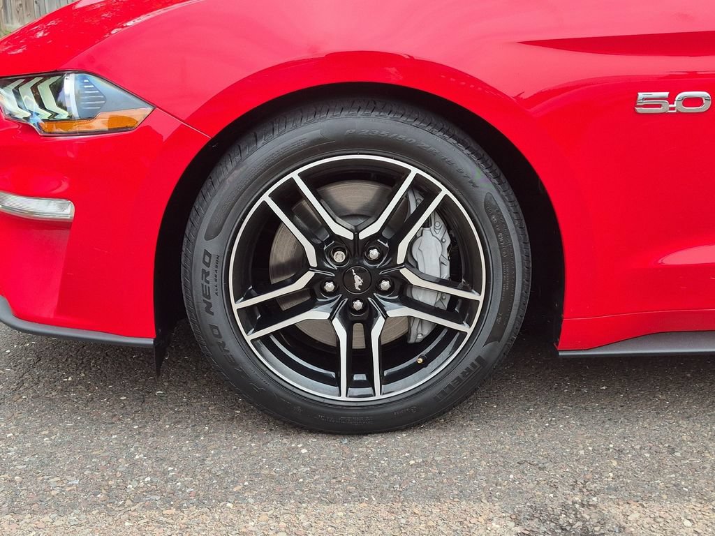 Certified 2019 Ford Mustang GT Premium w/ Ford Safe & Smart Package RWD image 19