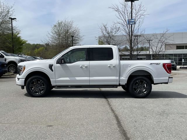Certified 2023 Ford F150 XLT w/ Equipment Group 302A High AWD/4WD image 2