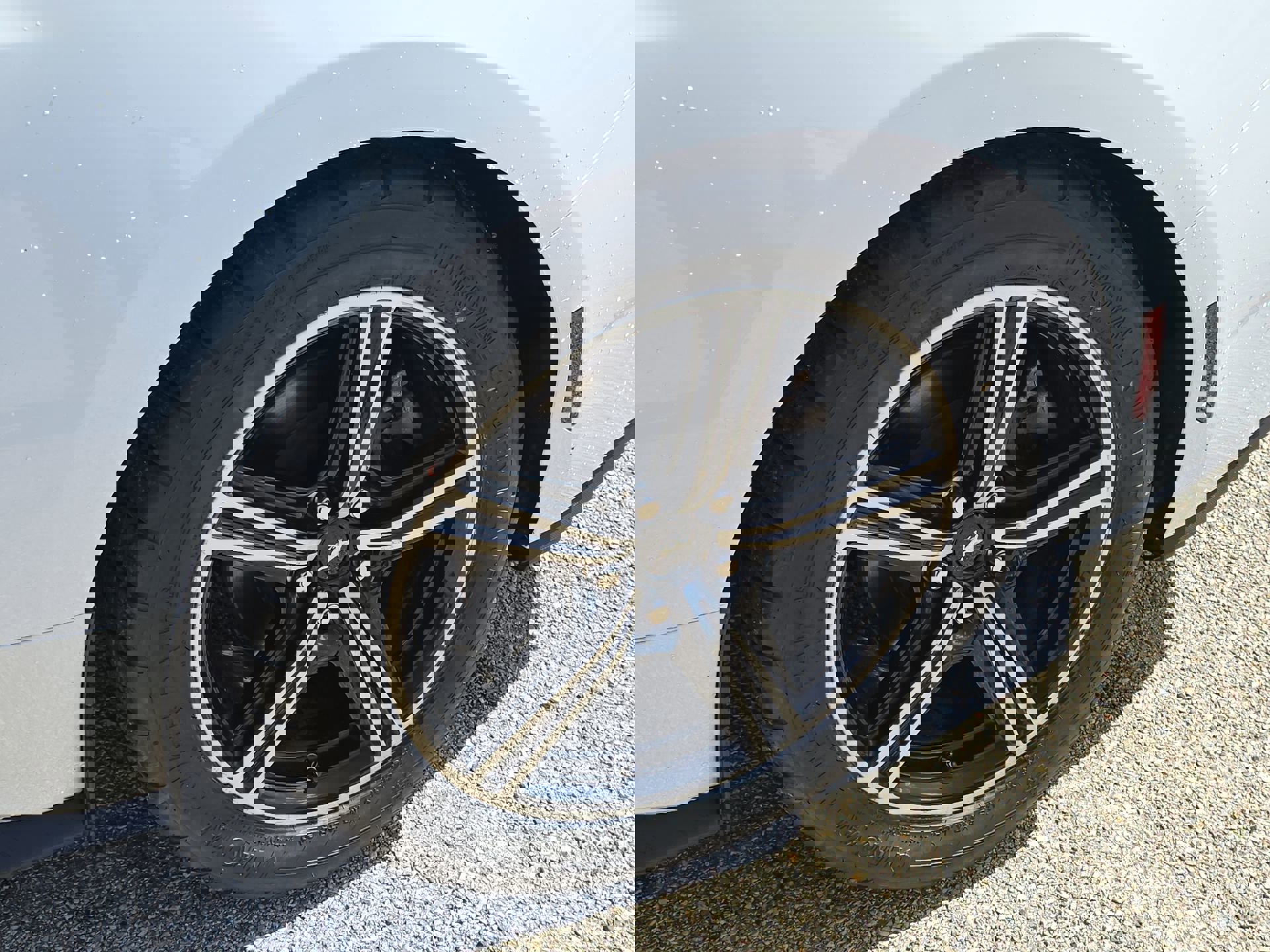 Certified 2024 Ford Mustang EcoBoost image 10