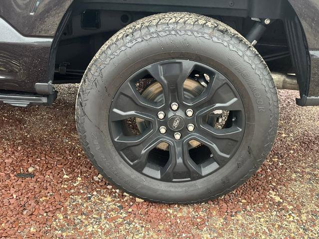 Certified 2023 Ford F150 Platinum w/ Equipment Group 701A High image 5