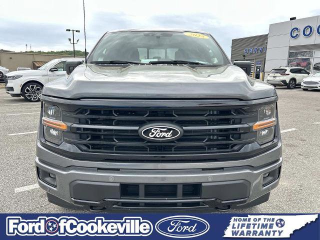 Certified 2025 Ford F150 XLT w/ Equipment Group 302A MID image 9