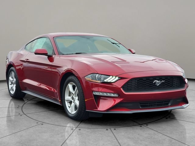 Certified 2019 Ford Mustang Coupe RWD image 14