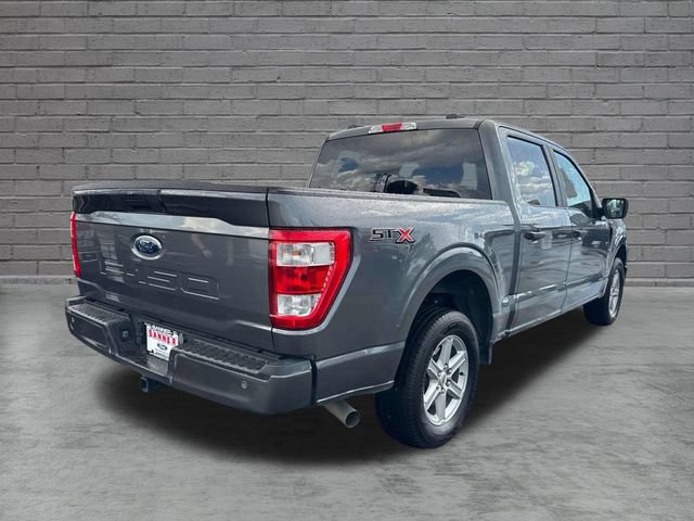 Certified 2023 Ford F150 XL w/ STX Appearance Package RWD image 8